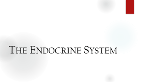 The Endocrine System - St. Ambrose School