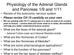 Physiology of the Adrenal Glands and Pancreas 1/18