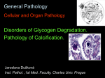 glycogen, calcification