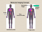 Tracer Development for Molecular Imaging