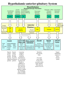 Hypothalamic-anterior-pituitary System