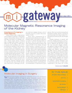 From MI Gateway: Molecular Magnetic Resonance Imaging of the