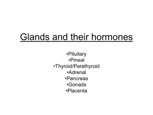 Glands and their hormones