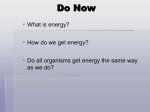 Energy! - Montville.net