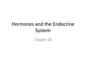 Endocrine System