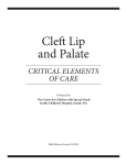 Critical Elements of Care: Cleft Lip and Palate