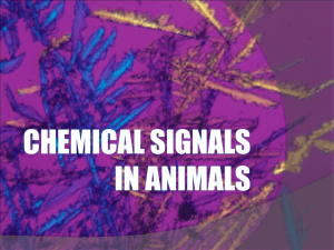 Chemical signals in animals