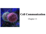 Ch 11 Cell Communication