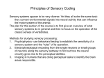 Principles of Sensory Coding