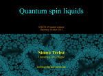 Quantum spin liquids