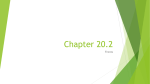 Chapter 20.2