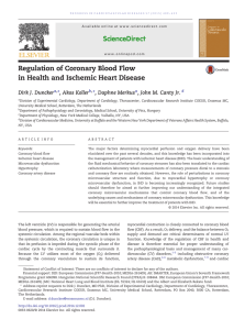 Regulation of Coronary Blood Flow in Health and Ischemic Heart