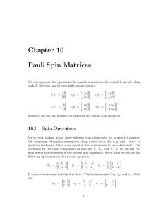 Chapter 10 Pauli Spin Matrices