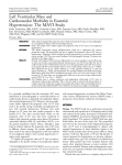 Left ventricular mass and cardiovascular morbidity in