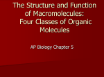 The Structure and Function of Macromolecules: Four Classes of