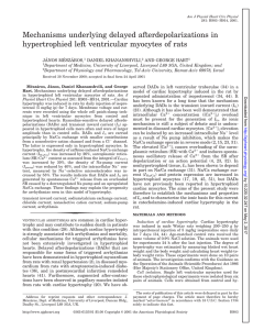 Mechanisms underlying delayed afterdepolarizations in - AJP