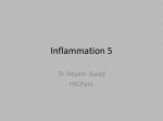 Inflammation 5
