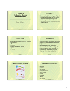 Endocrine Glands and Hormones Introduction Introduction