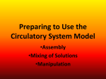 Preparing to Use the Circulatory System Model