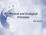 Physical and Ecological Processes