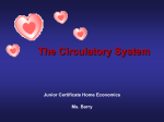 The Circulatory System - Ms Barry Home Economics