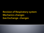 Dynamics of Respiratory system