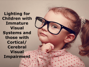 Lighting Information for Individuals with Cortical Vision Impairments