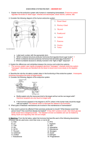 endocrine system review – answer key