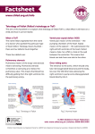 Tetralogy of Fallot - Children`s Heart Federation