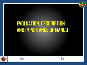 2. Evolution, description and importance of mango