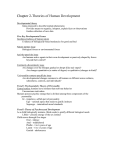 Chapter 2-Theories of Human Development