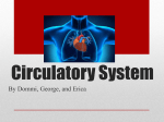 Circulatory System