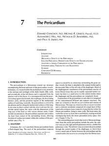 7 The Pericardium