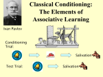Classical Conditioning: The Elements of Associative Learning