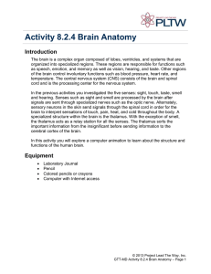 General PLTW Document