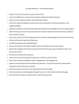 Learning Objectives – The Endocrine System