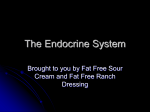 The Endocrine System