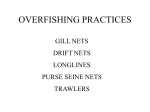 Overfishing- Powerpoint