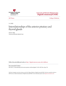 Interrelationships of the anterior pituitary and thyroid glands