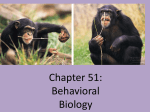 Chapter 51: Behavioral Biology