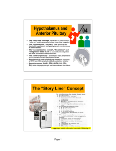 Hypothalamus and Anterior Pituitary