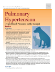 Pulmonary Hypertension (High Blood Pressure in the Lungs)