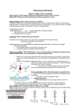 Motion, Forces, and Energy