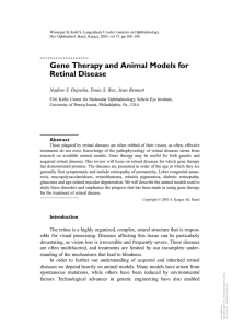 Gene Therapy and Animal Models for Retinal Disease