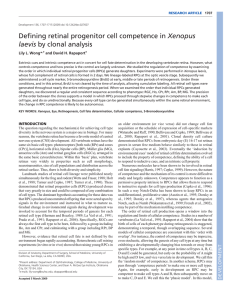 Defining retinal progenitor cell competence in