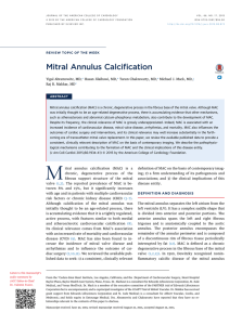 Mitral Annulus Calcification