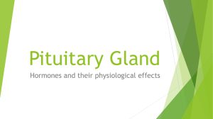 Pituitary Gland - Easymed.club