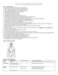 Chpt. 9 Endocrine System Review