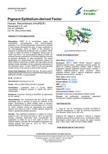 Pigment Epithelium-derived Factor