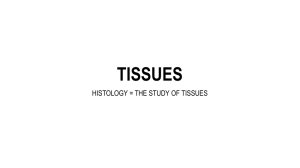 tissues - Perkins Science